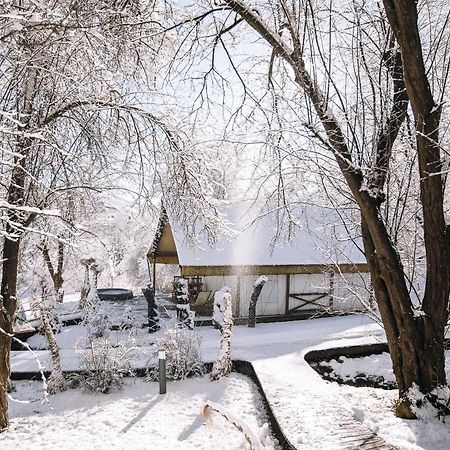 Luxury Vineyard Resort Chateau Ramsak Maribor Dış mekan fotoğraf