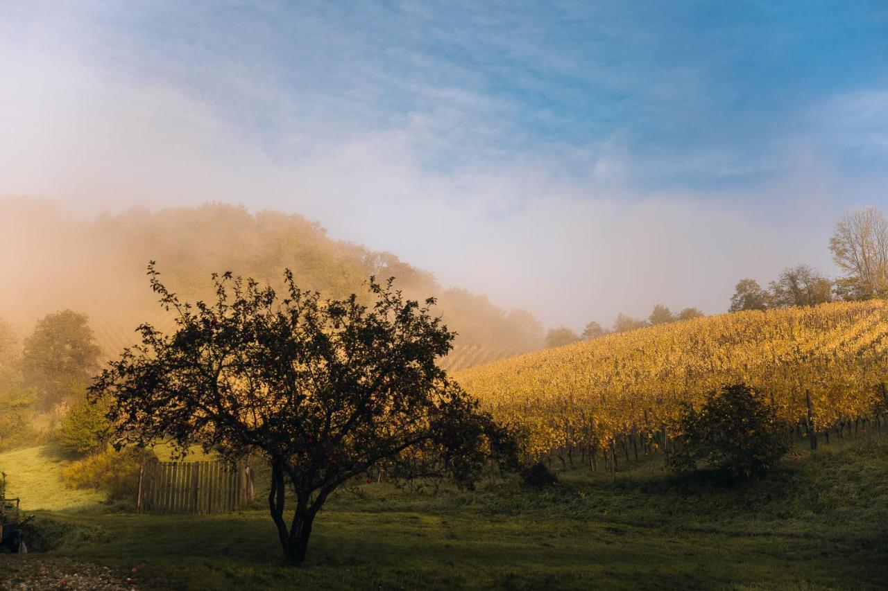 Luxury Vineyard Resort Chateau Ramsak Maribor Dış mekan fotoğraf