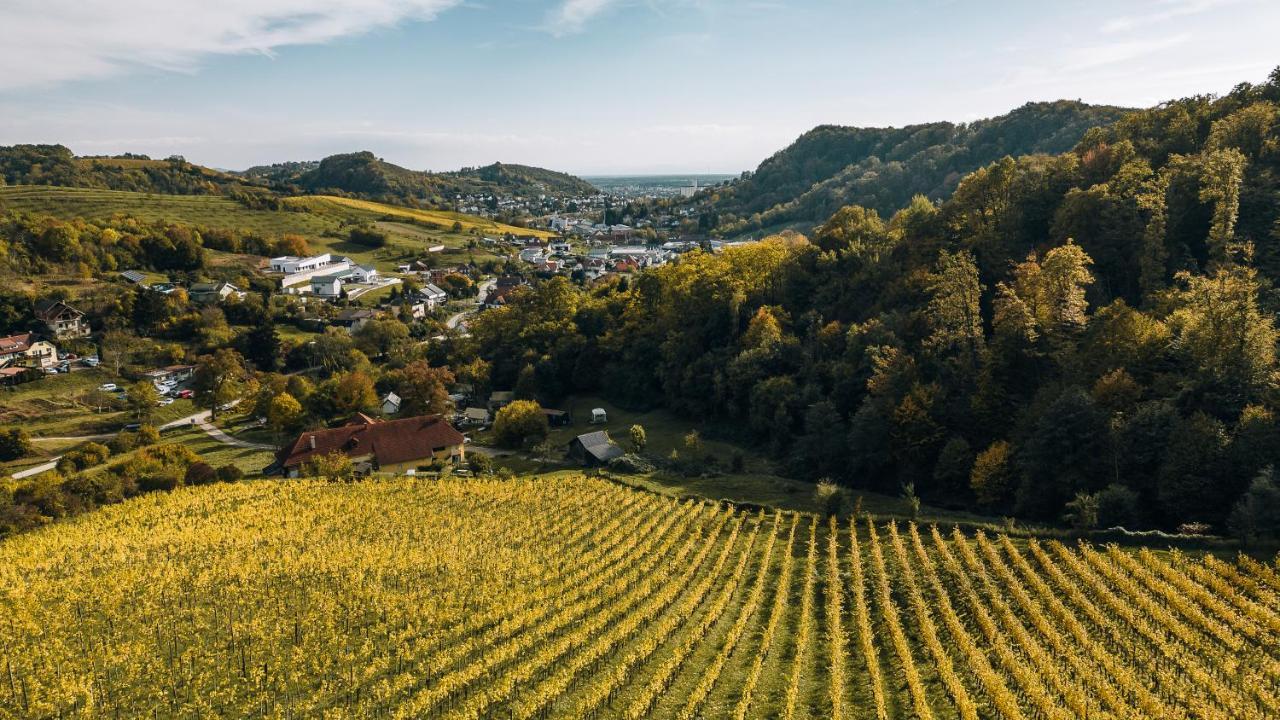 Luxury Vineyard Resort Chateau Ramsak Maribor Dış mekan fotoğraf